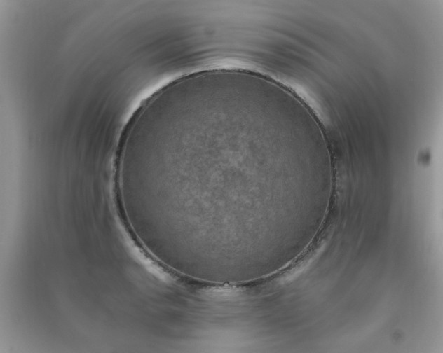 X0000091011134200708161953