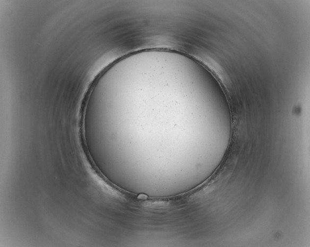 X0000091011135200708161953