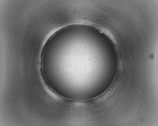 X0000091011136200708161953