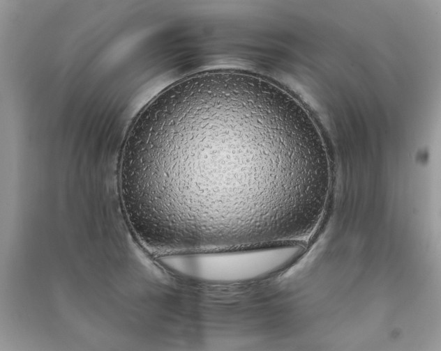 X0000091011137200708161953