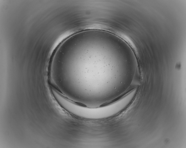 X0000091011138200708161953