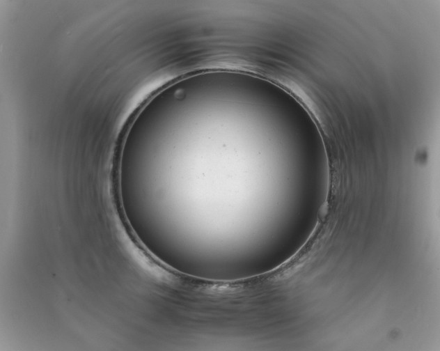 X0000091011139200708161953