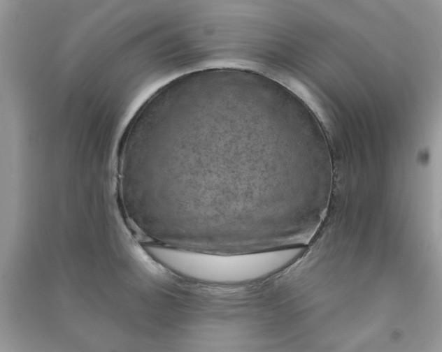 X0000091011140200708161953