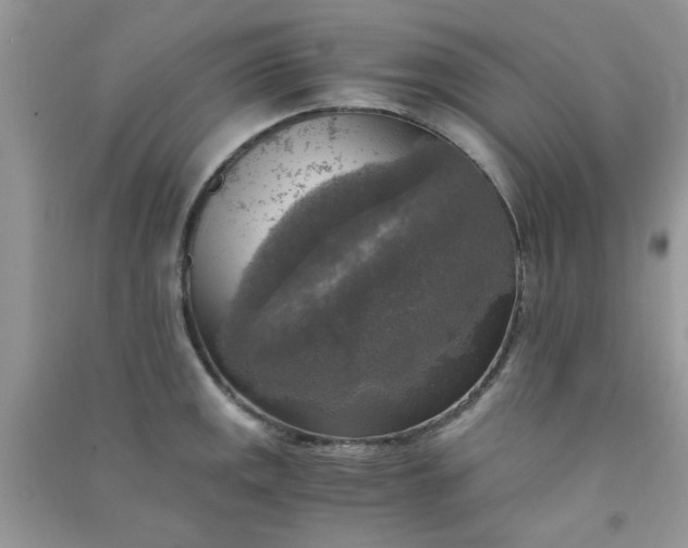 X0000091011141200708161953