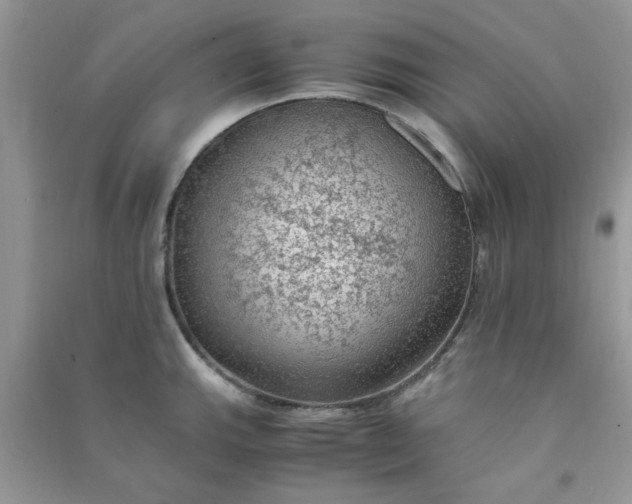 X0000091011143200708161953