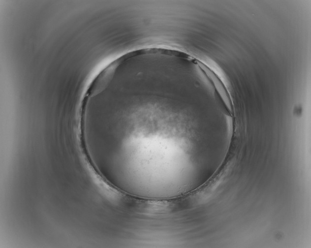 X0000091011144200708161953
