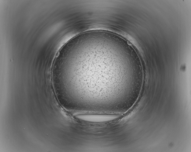 X0000091011145200708161953