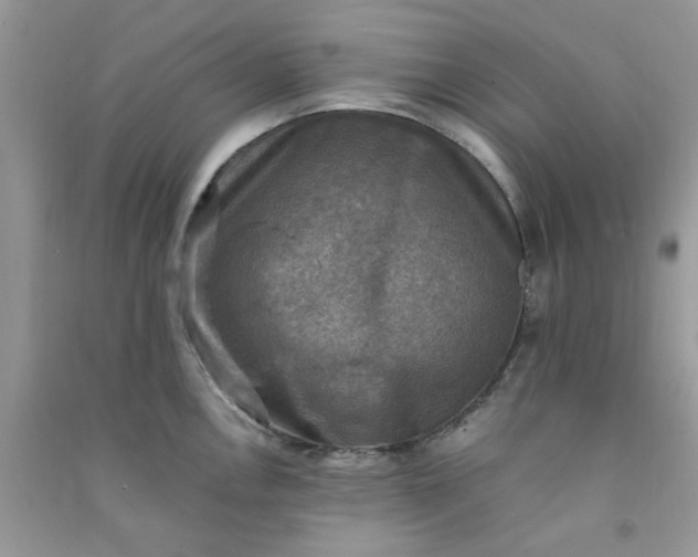 X0000091011146200708161953