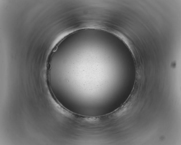 X0000091011147200708161953