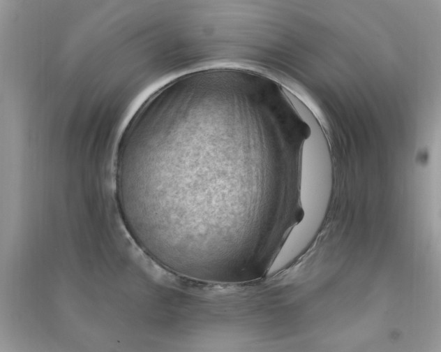 X0000091011148200708161953