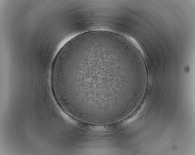 X0000091011149200708161953