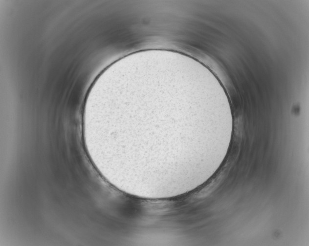 X0000091011150200708161953