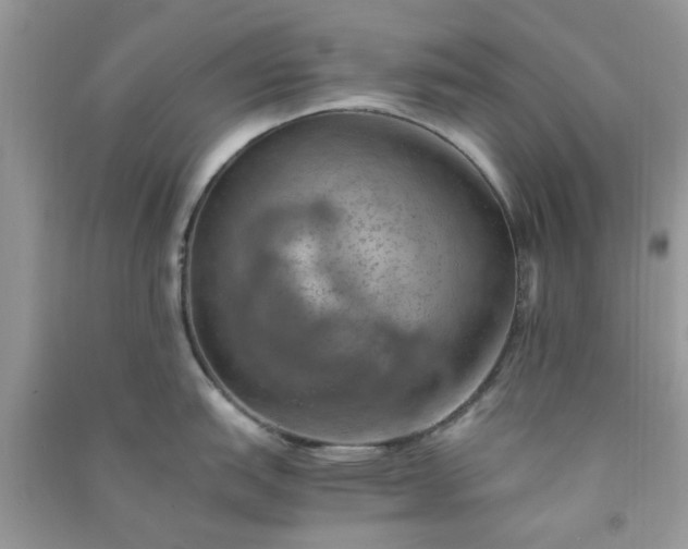 X0000091011151200708161953