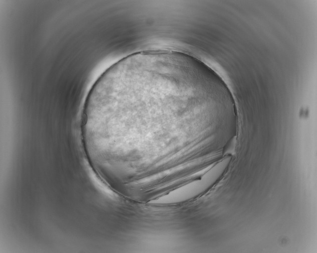 X0000091011152200708161953