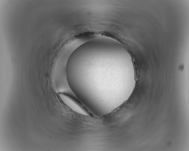 X0000091011153200708161952