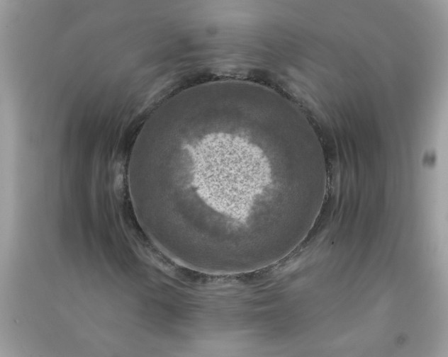 X0000091011154200708161952