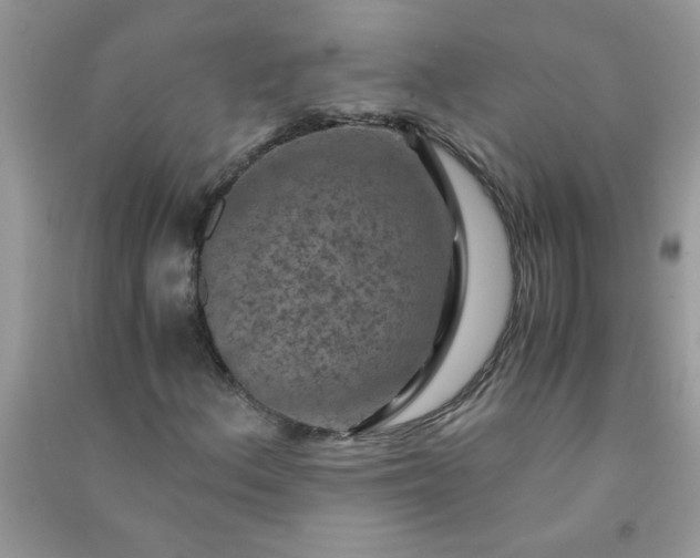 X0000091011156200708161952