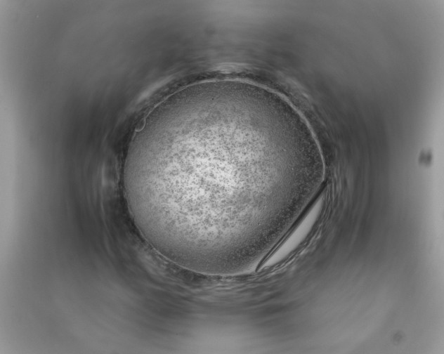 X0000091011158200708161952