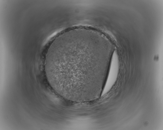 X0000091011159200708161952
