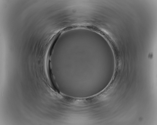 X0000091011161200708161952