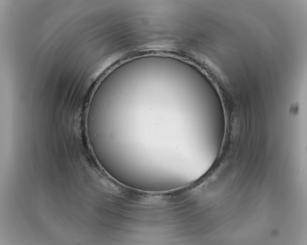 X0000091011162200708161952