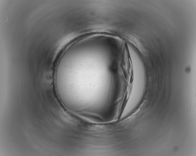 X0000091011164200708161952