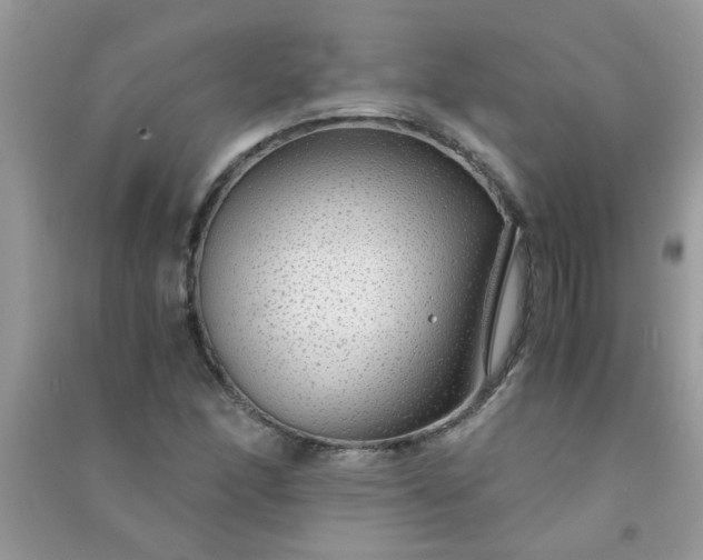 X0000091011166200708161952