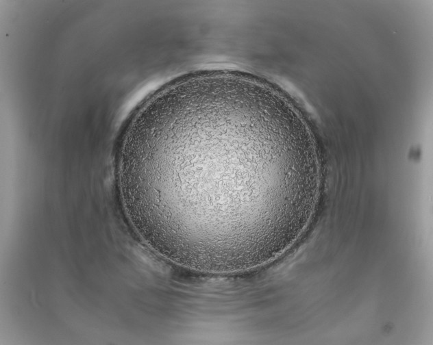 X0000091011167200708161952