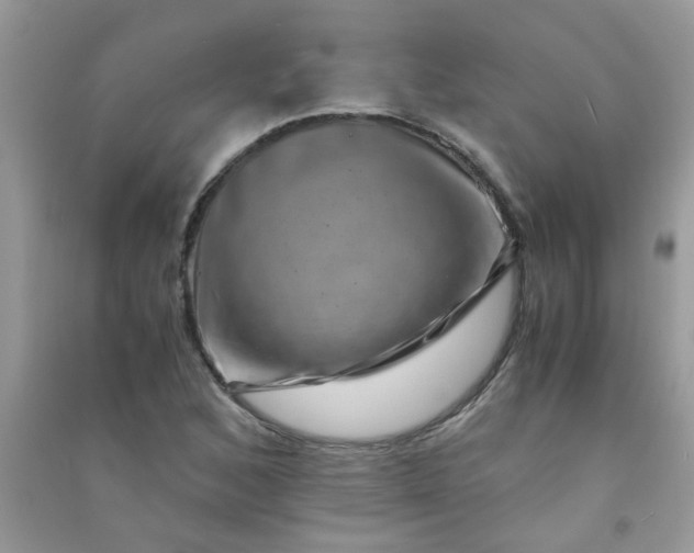 X0000091011168200708161952