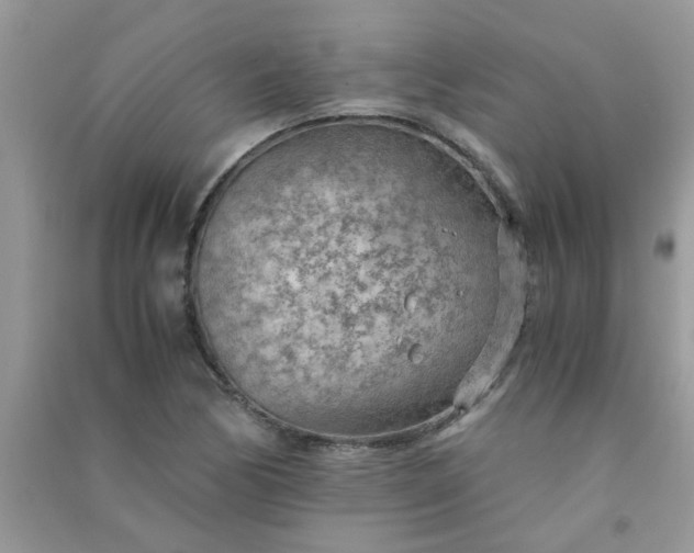 X0000091011170200708161952