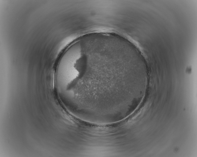X0000091011171200708161952