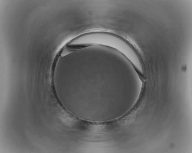 X0000091011173200708161952