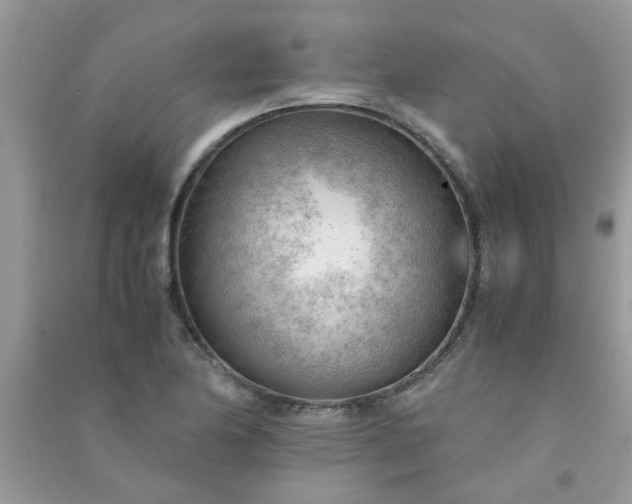 X0000091011174200708161952