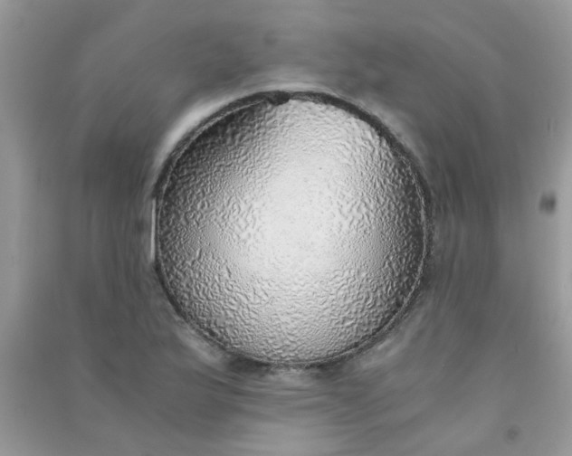 X0000091011175200708161952