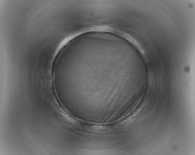 X0000091011176200708161952