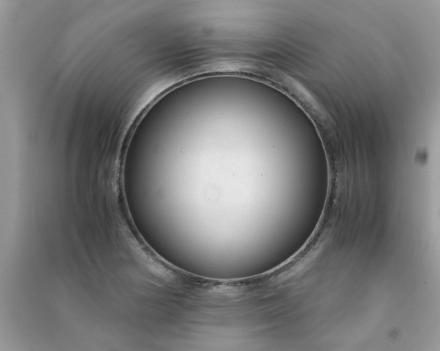 X0000091011178200708161952
