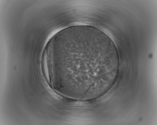 X0000091011179200708161952