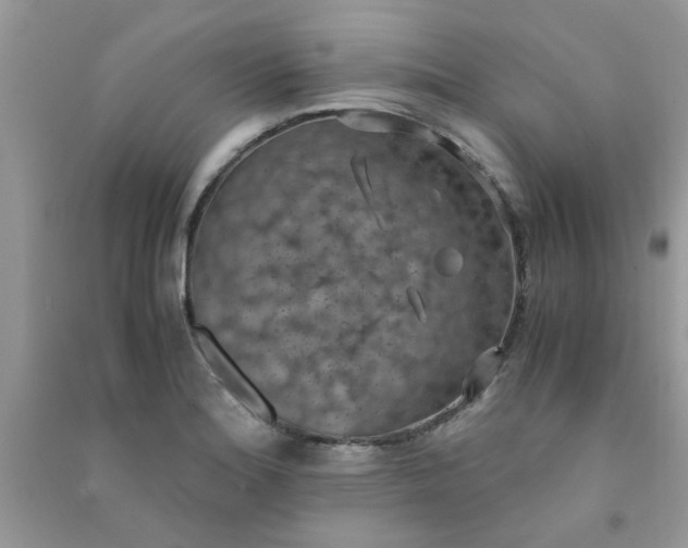 X0000091011180200708161952