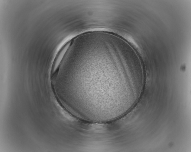 X0000091011181200708161952