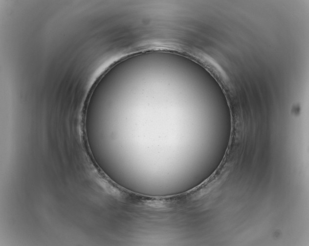 X0000091011182200708161952