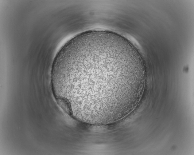 X0000091011183200708161952