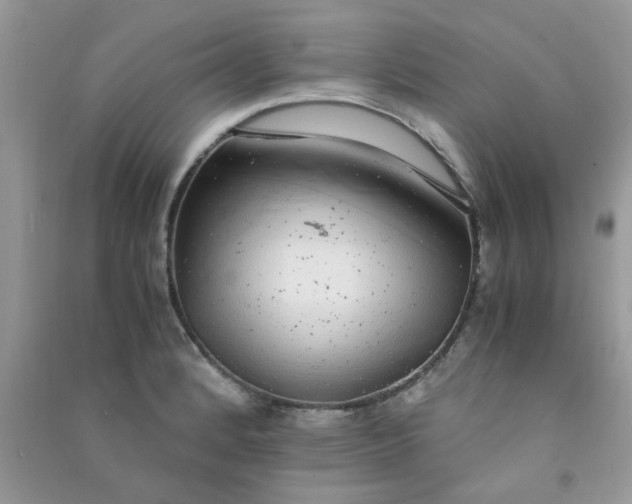 X0000091011184200708161952