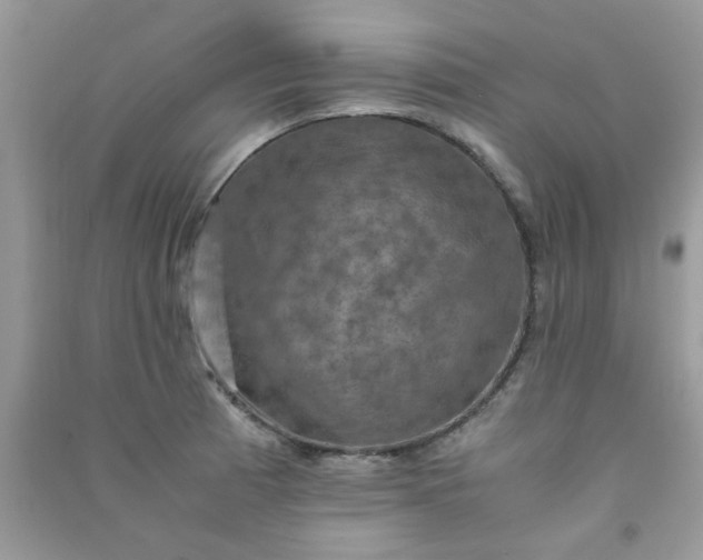 X0000091011185200708161952