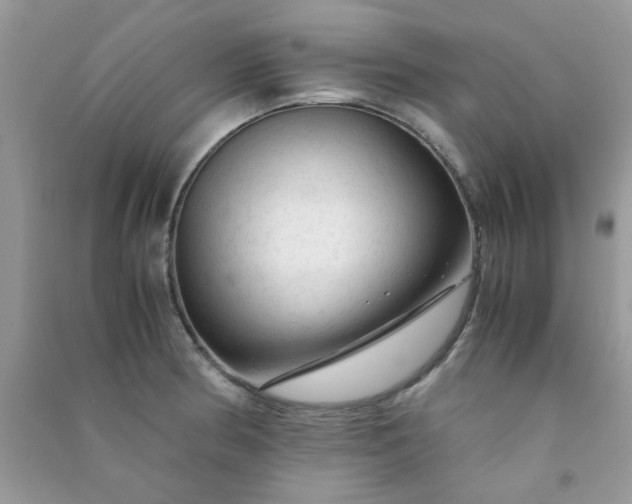X0000091011186200708161952