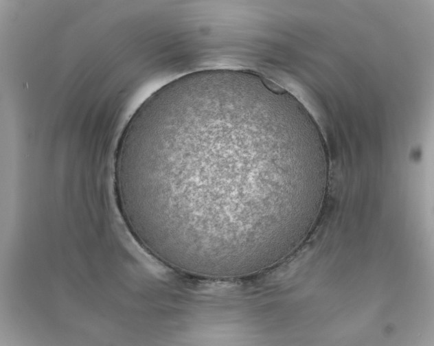 X0000091011187200708161952