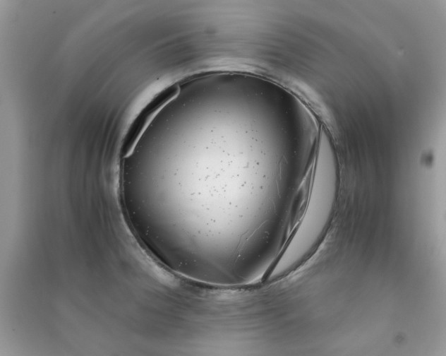 X0000091011188200708161952