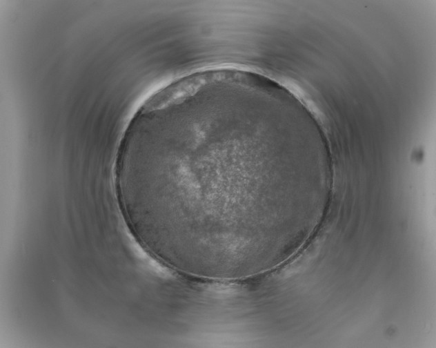 X0000091011189200708161952
