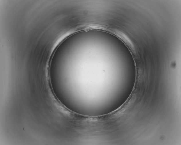 X0000091011190200708161952