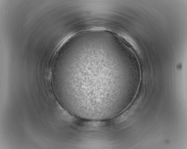 X0000091011193200708161952