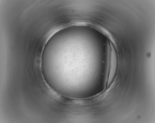 X0000091011194200708161952